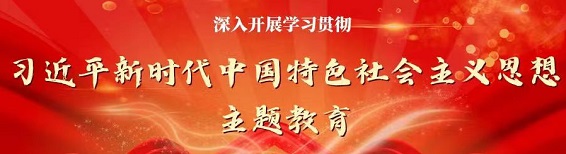 深入学习贯彻<br>习近平新时代中国特色社会主义思想主题教育